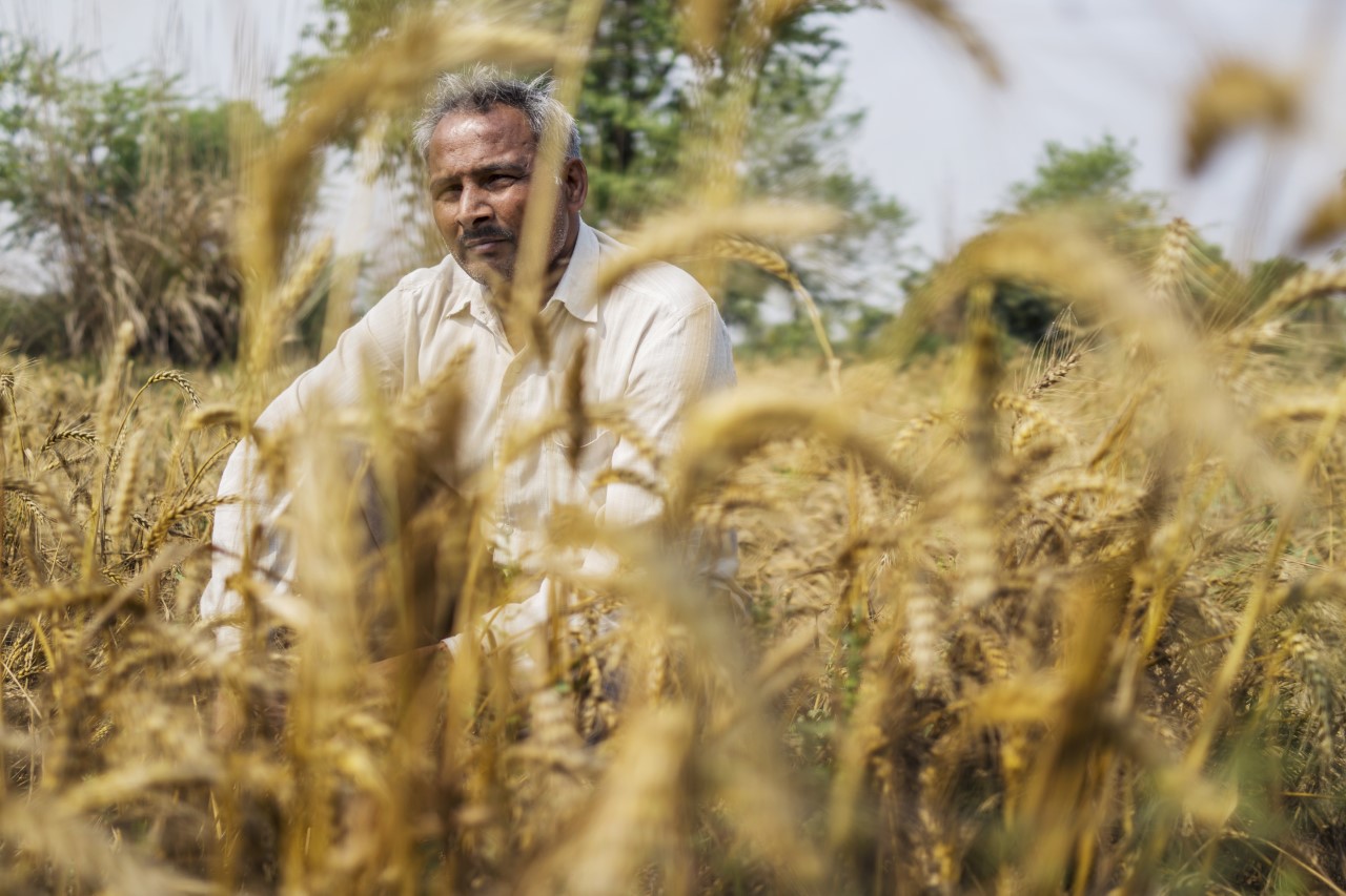 UP Government To Use Kisan Rahat Bonds To Finance Farm Loan Waiver, Says State  Minister